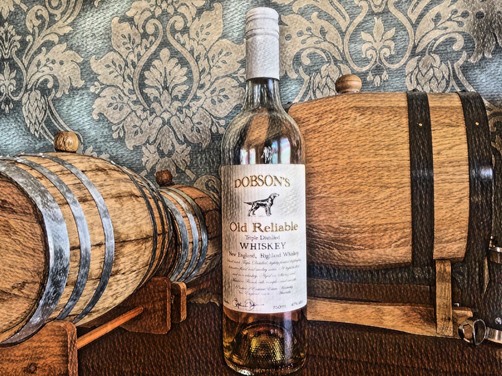 2018 Pocket Pleaser Dobsons