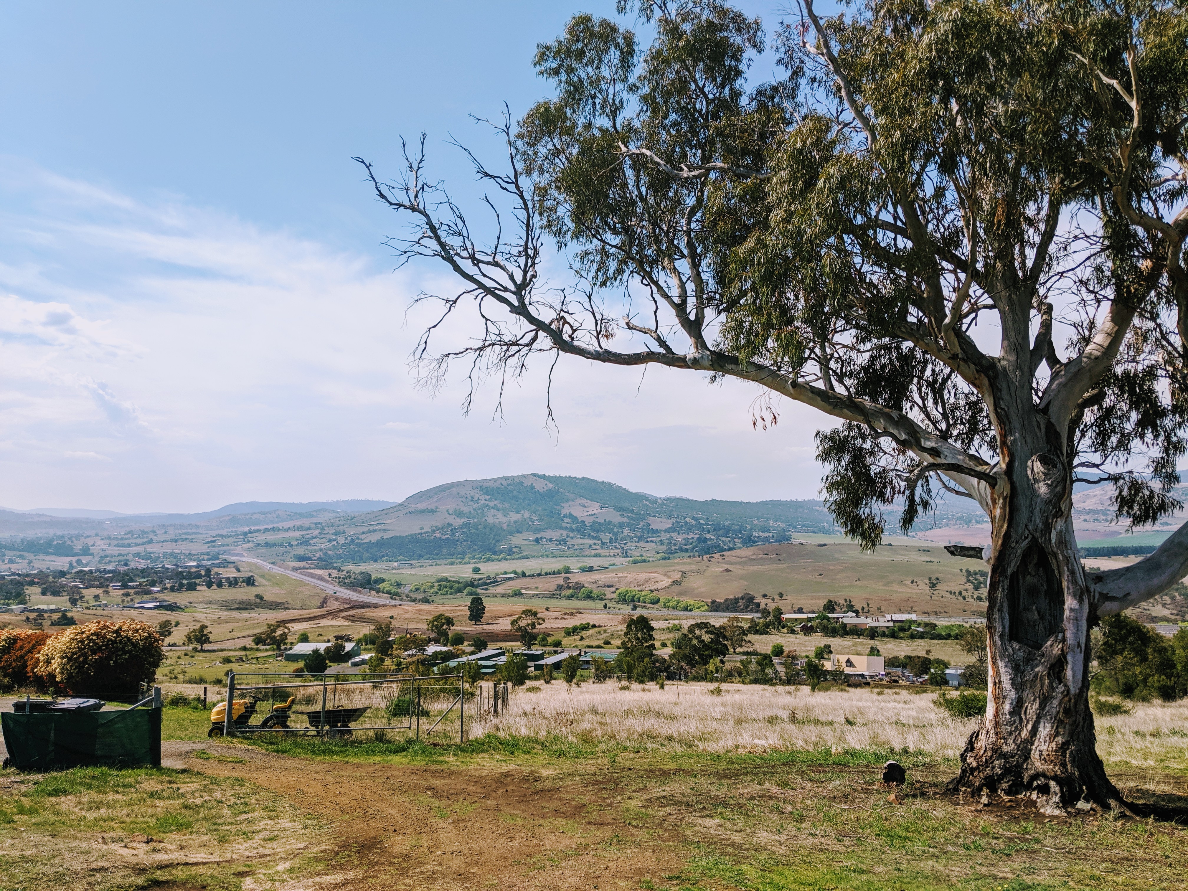 An idyllic view over the Derwent Valley near Brighton. A large gum tree is in the foreground. Paddocks and low hills covered in trees extend into the distance
