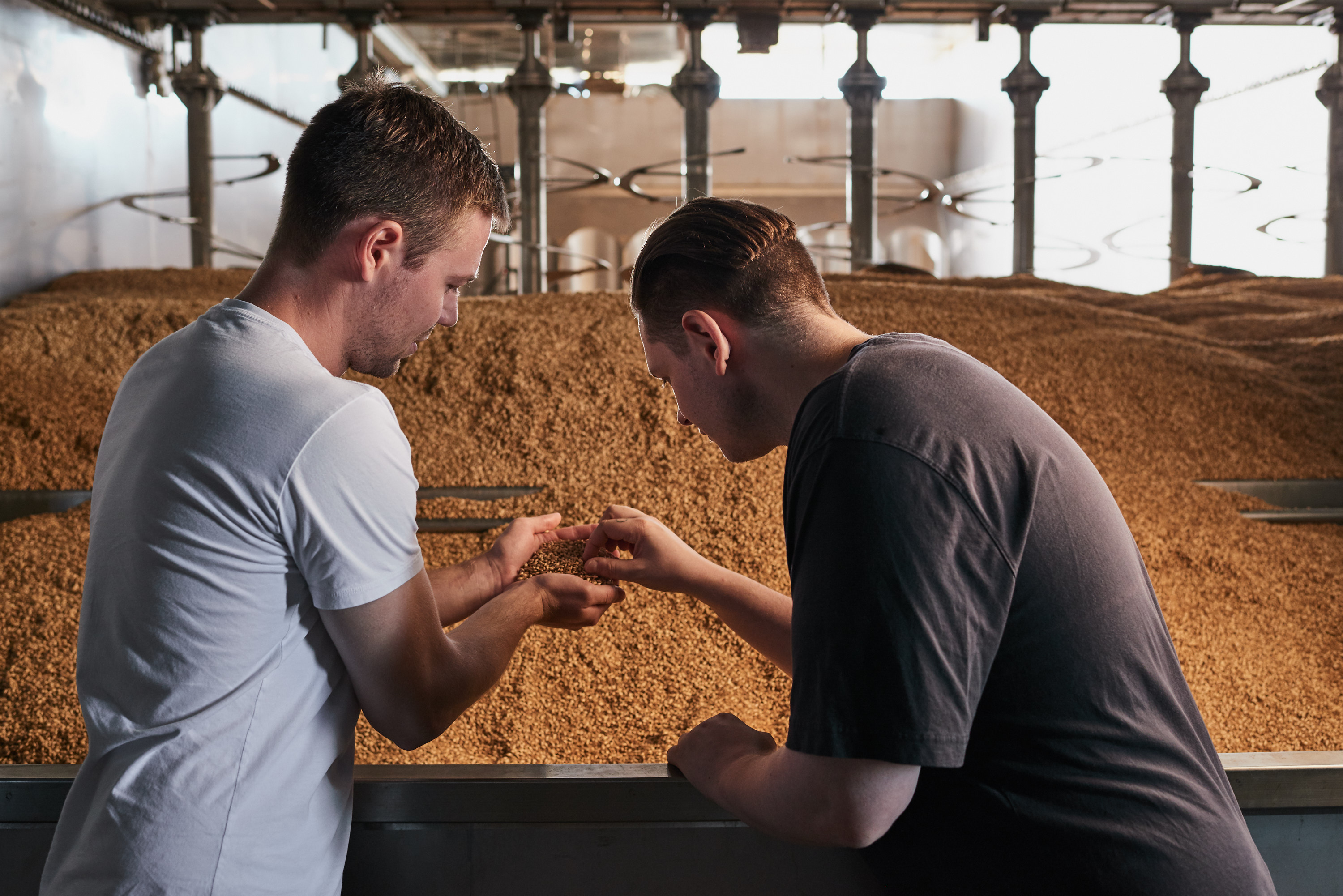 Archie Rose Whisky 4